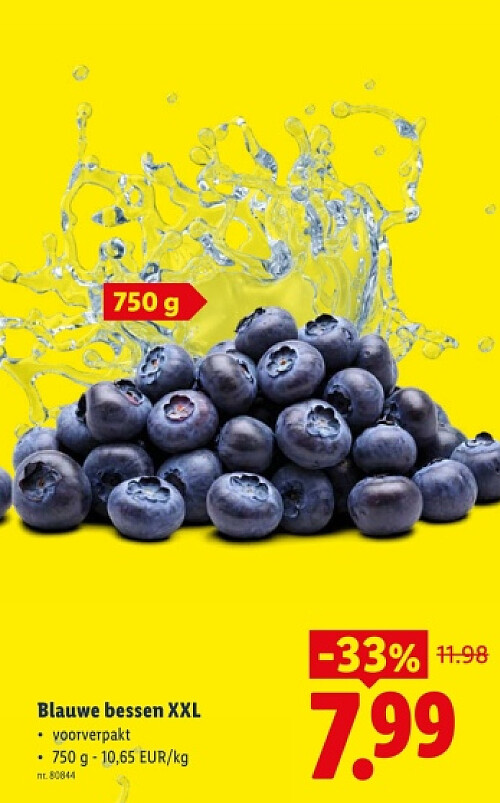Blauwe bessen XXL