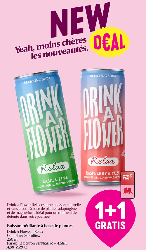 Boisson pétillante à base de plantes