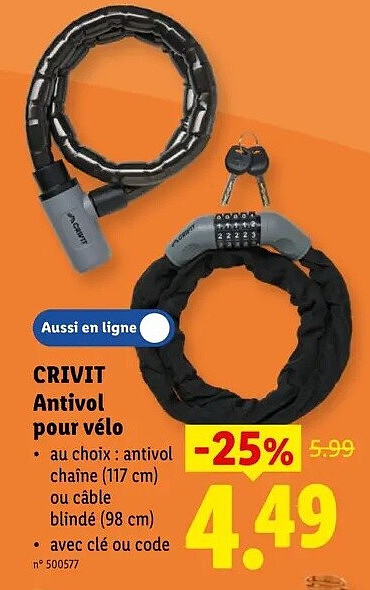Antivol pour vélo