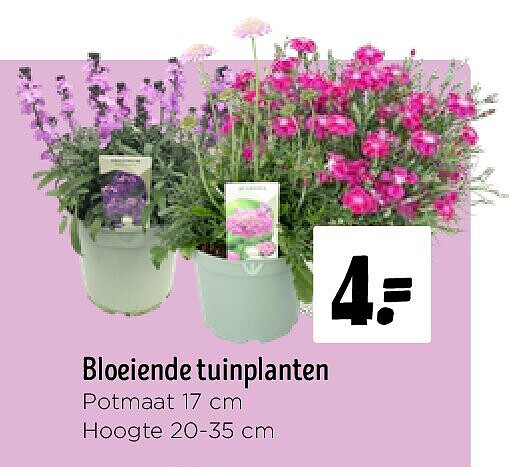 Bloeiende tuinplanten