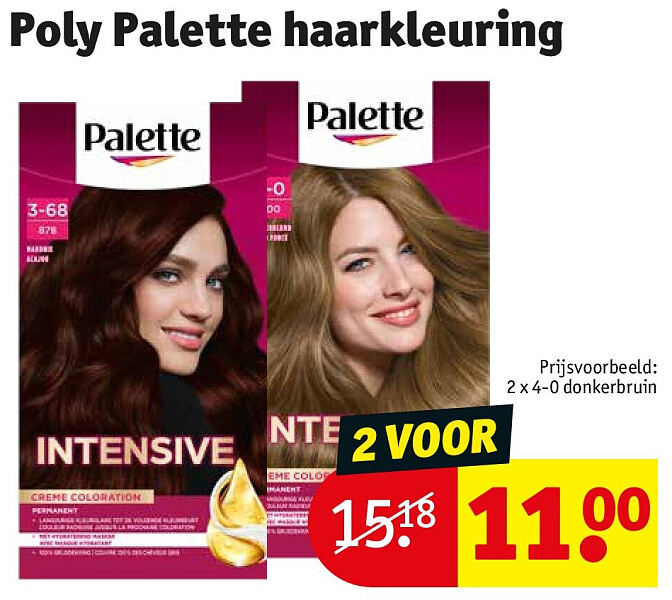 Poly Palette haarkleuring