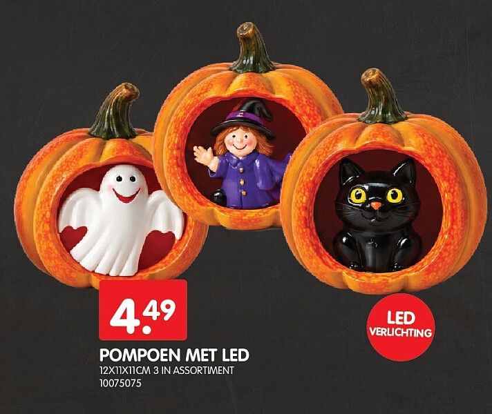 POMPOEN MET LED