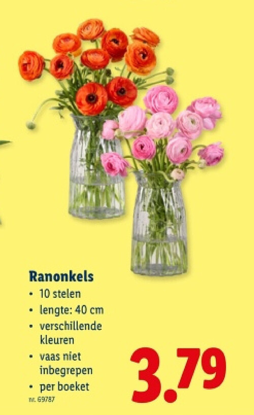 Ranonkels