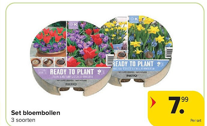 Set bloembollen
