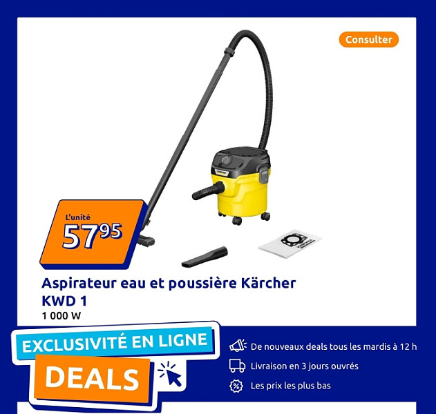 Aspirateur eau et poussière Kärcher KWD 1
