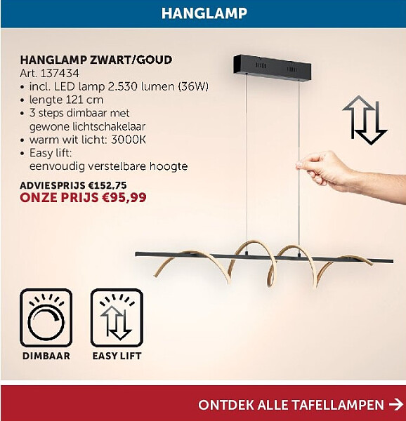 HANGLAMP ZWART/GOUD