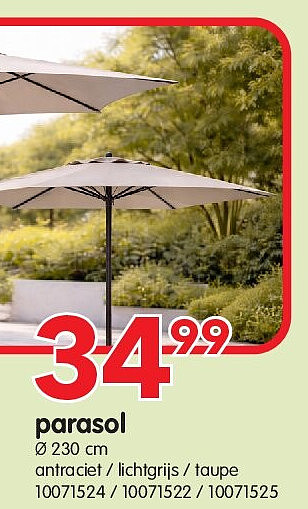 parasol