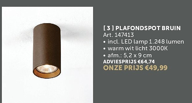 PLAFONDSPOT BRUIN