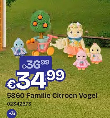 Familie Citroen Vogel