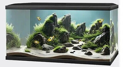 Tom&Co Aquarium Noir - 58l