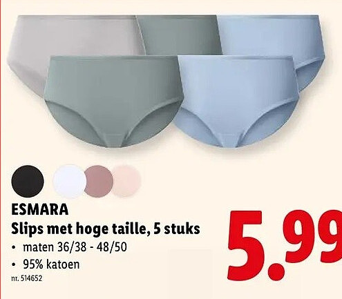 Slips met hoge taille, 5 stuks