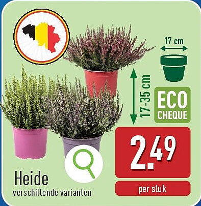 Heide