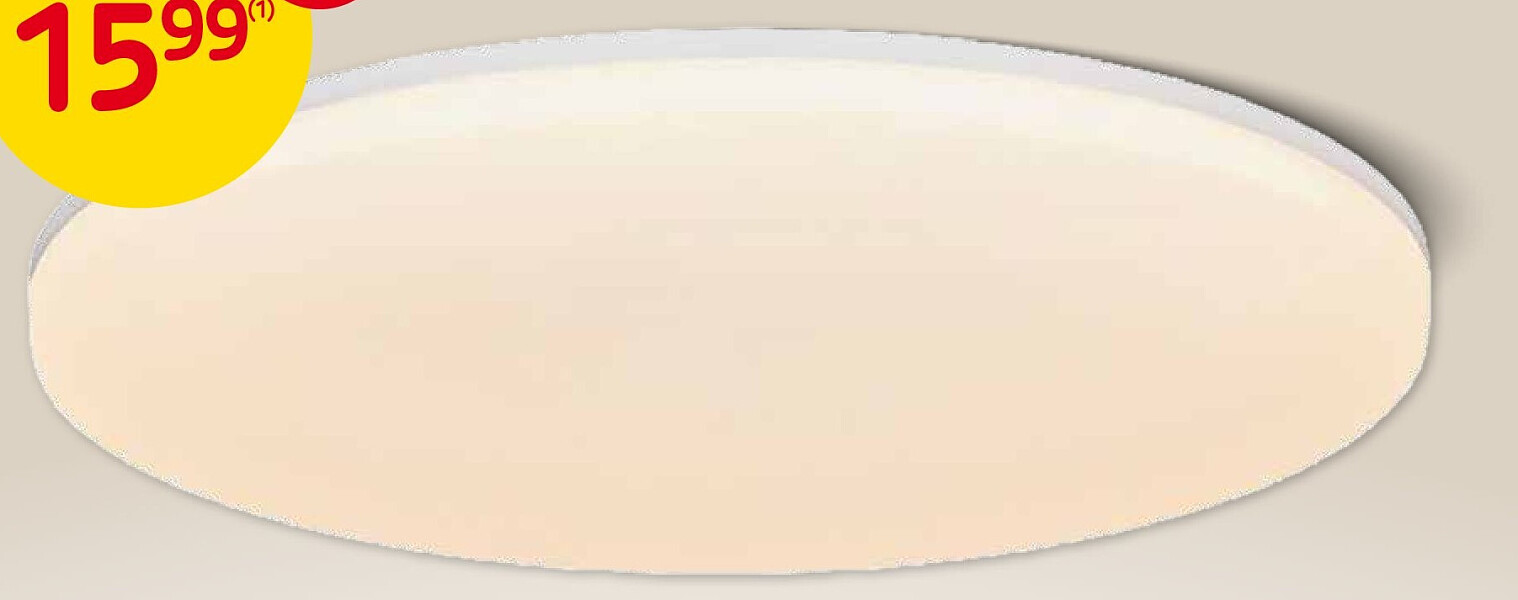 Plafondlamp VIC