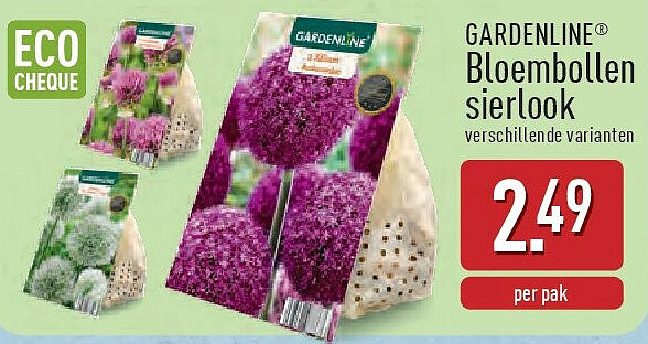 Bloembollen sierlook