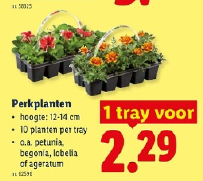Perkplanten