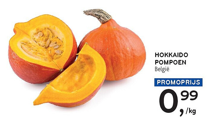 HOKKAIDO POMPOEN