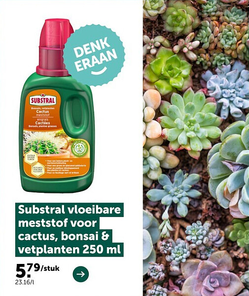 Substral vloeibare meststof voor cactus, bonsai & vetplanten 250 ml