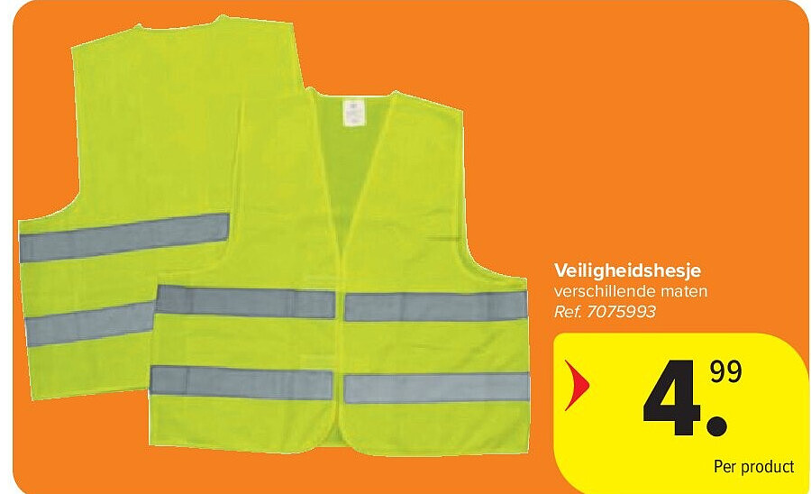Veiligheidshesje