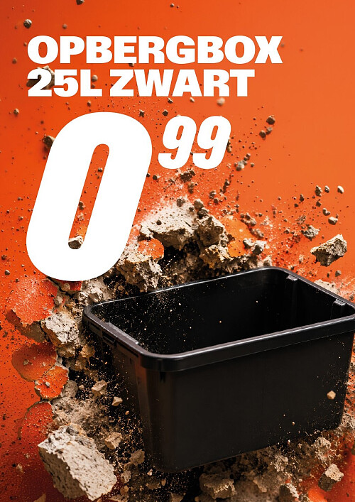 Opbergbox 25 L zwart