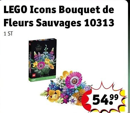 LEGO Icons Bouquet de Fleurs Sauvages 10313