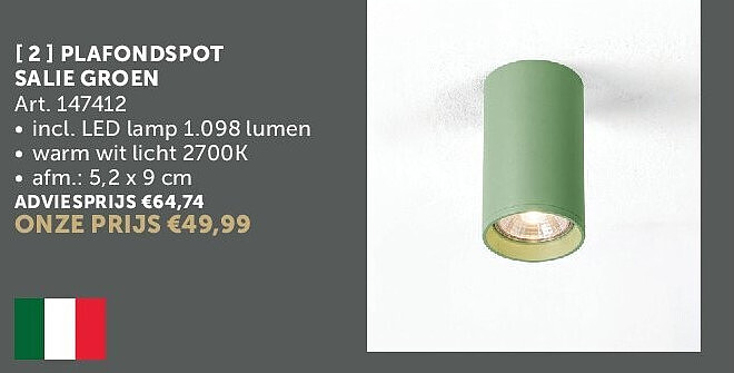 PLAFONDSPOT SALIE GROEN