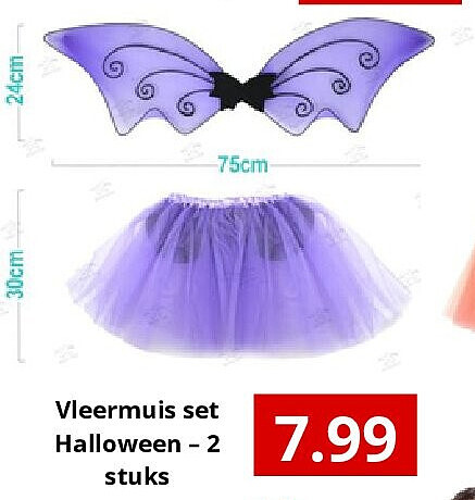 Vleermuis set Halloween – 2 stuks