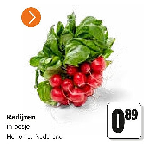 Radijzen