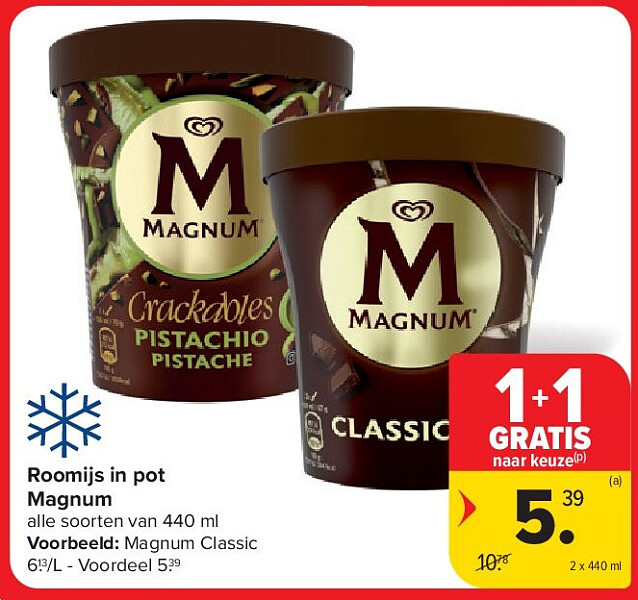 Roomijs in pot Magnum