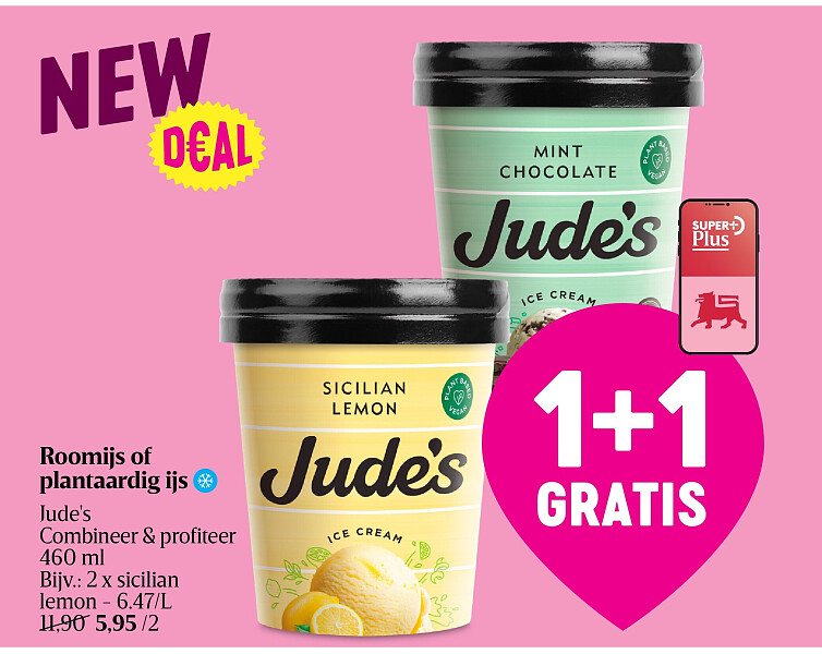 Roomijs of plantaardig ijs