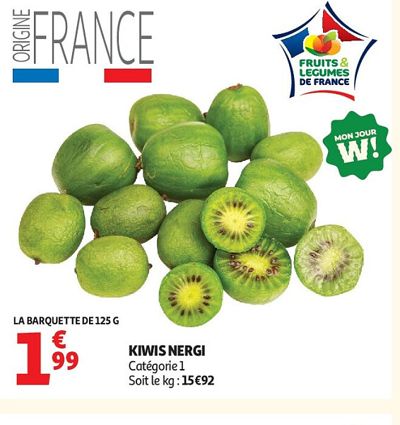KIWIS NERGI