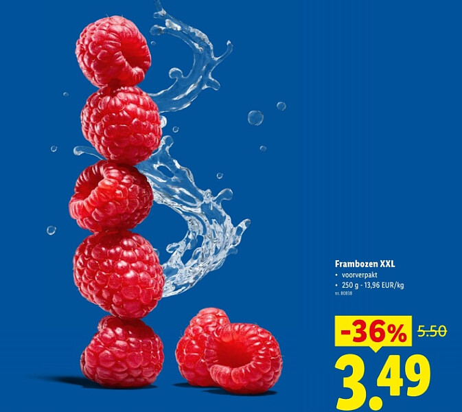 Frambozen XXL