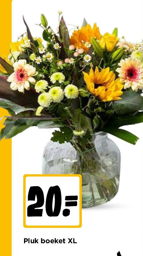 Pluk boeket XL