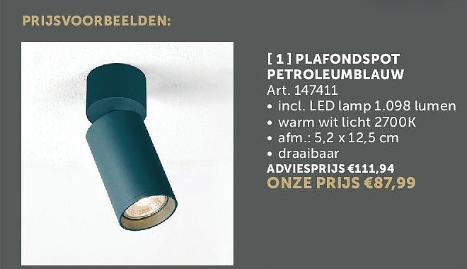 PLAFONDSPOT PETROLEUMBLAUW