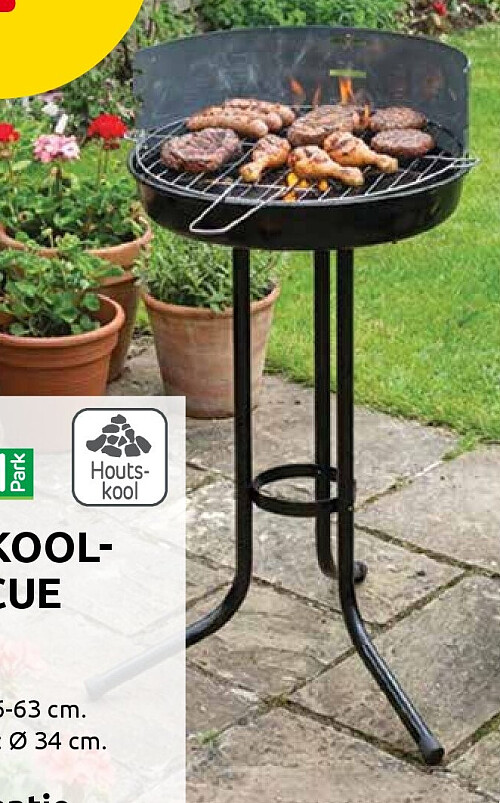 Houtskoolbarbecue Lanai
