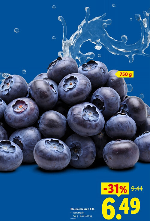 Blauwe bessen XXL