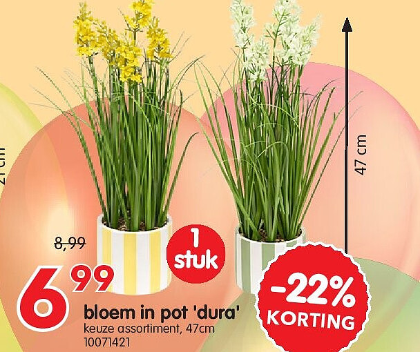 bloem in pot 'dura'