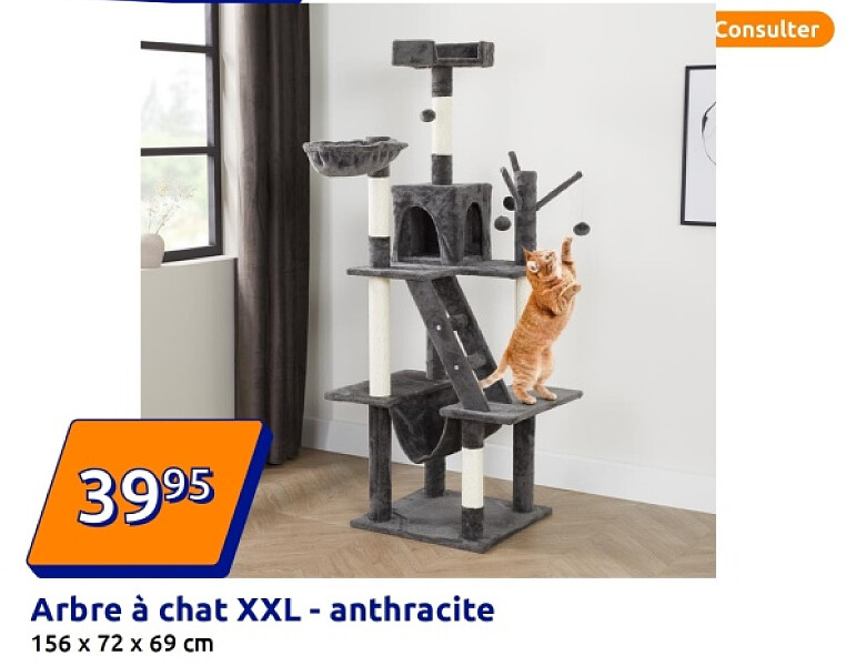 Arbre à chat XXL - anthracite