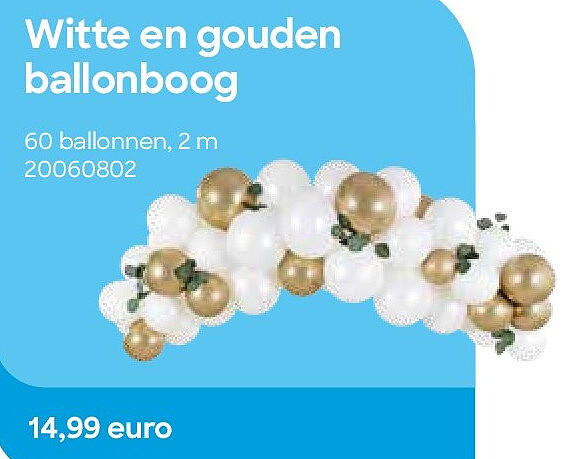 Witte en gouden ballonboog