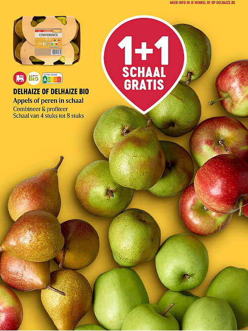 DELHAIZE OF DELHAIZE BIO Appels of peren in schaal