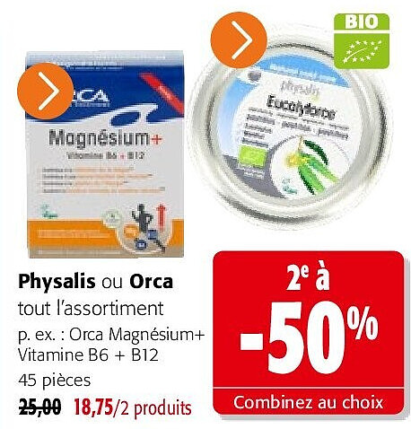 Physalis ou Orca