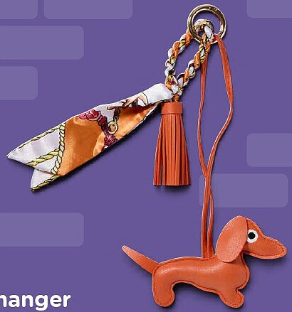Tashanger teckel met sjaal