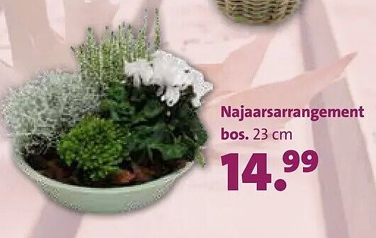 Najaarsarrangement bos