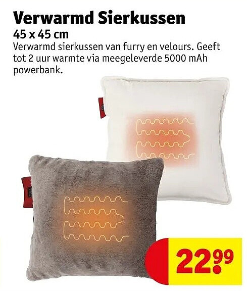 Verwarmd Sierkussen