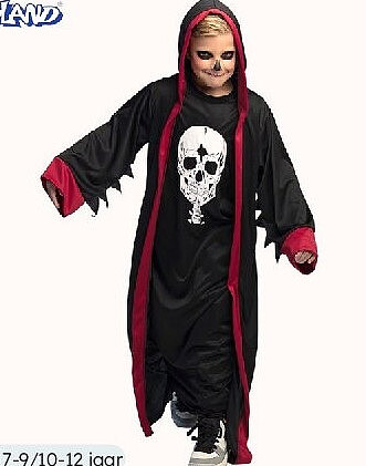 Kostuum Crypt Master