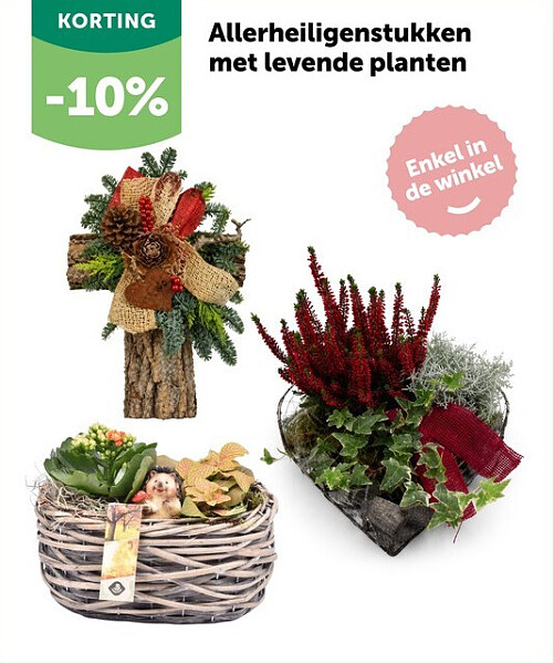 Allerheiligenstukken met levende planten