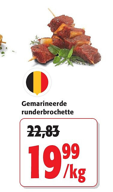 Gemarineerde runderbrochette