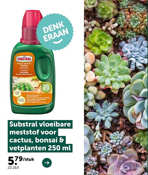 Substral vloeibare meststof voor cactus, bonsai & vetplanten 250 ml