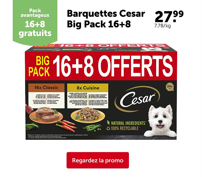 Barquettes Cesar Big Pack 16+8