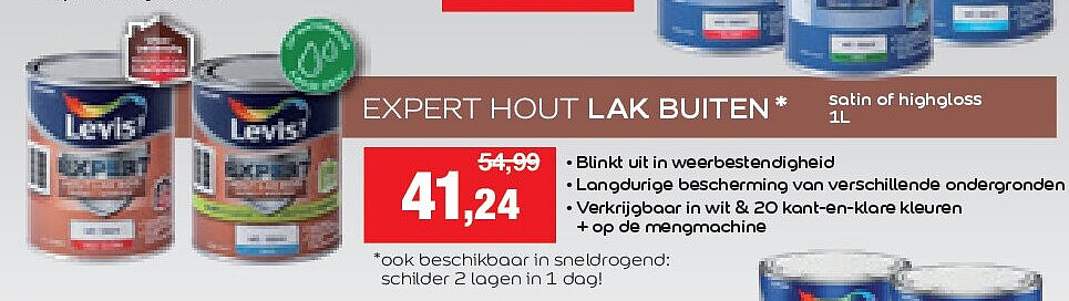 EXPERT HOUT LAK BUITEN