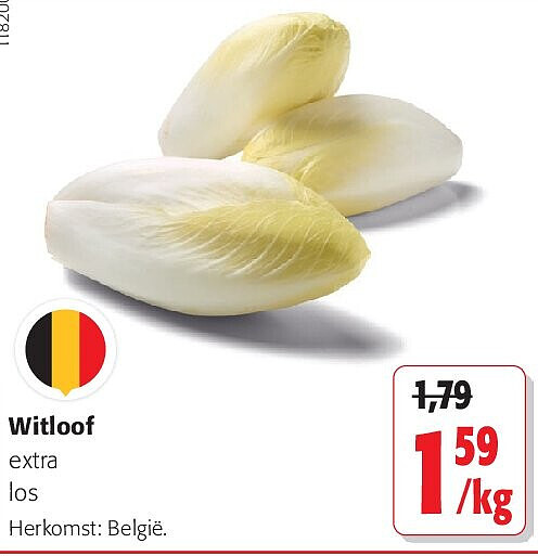 Witloof